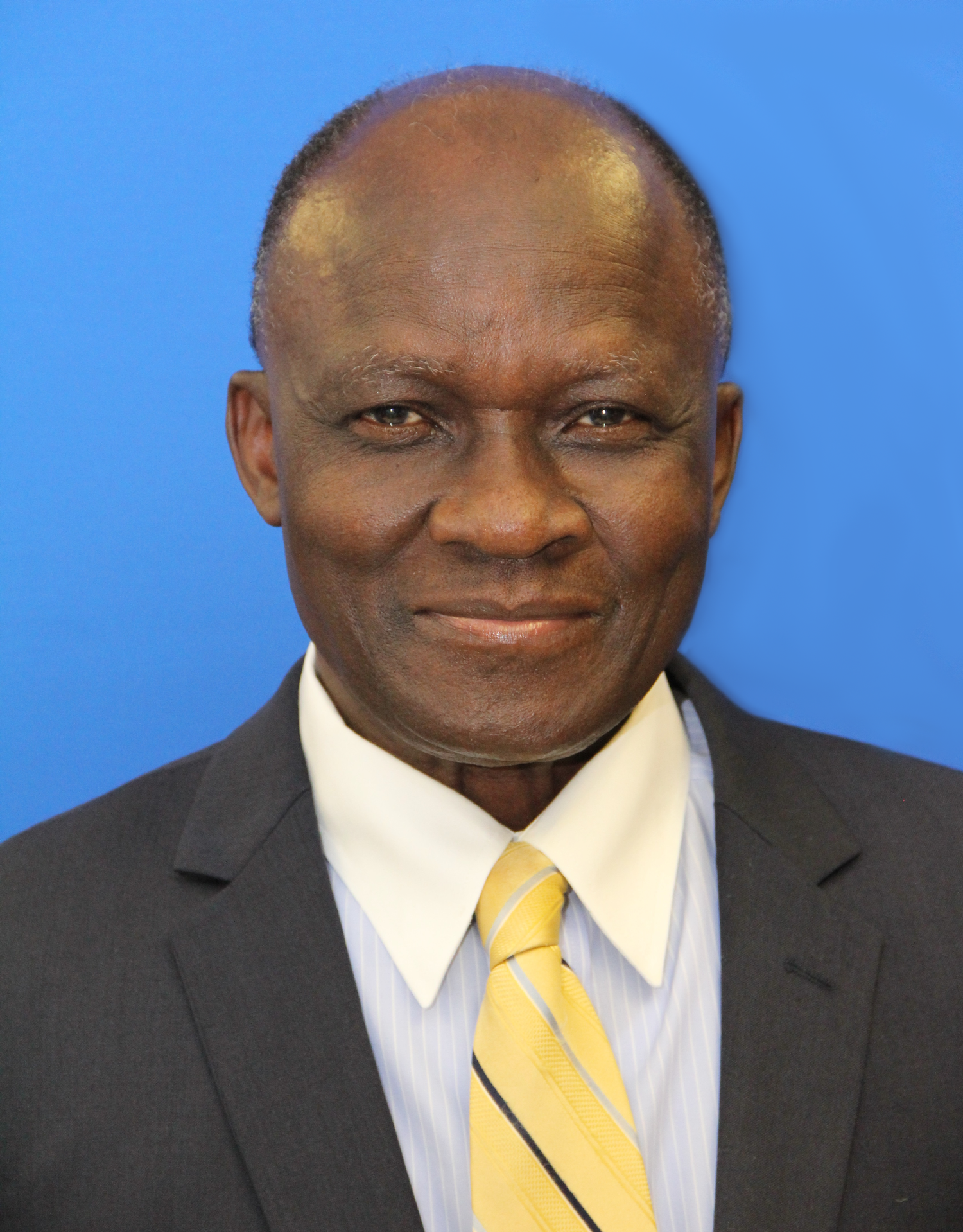 Dr. David Adegboye