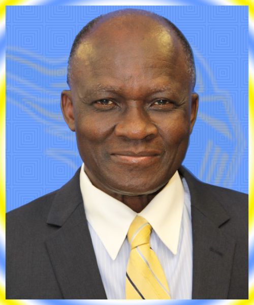 Dr. David Adegboye