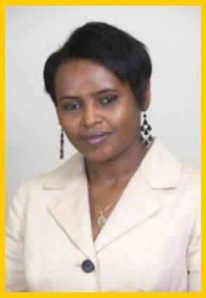 Dr. Biruk Alemayehu